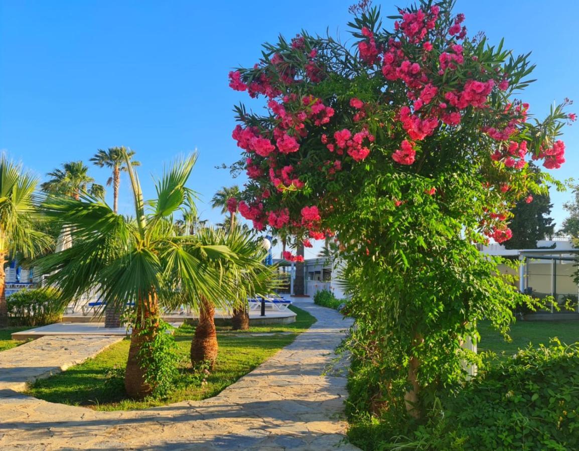 Nagi Beach Hotel Гюмбет Екстериор снимка